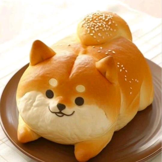 DCEB陪伴成长¹⁴⁷