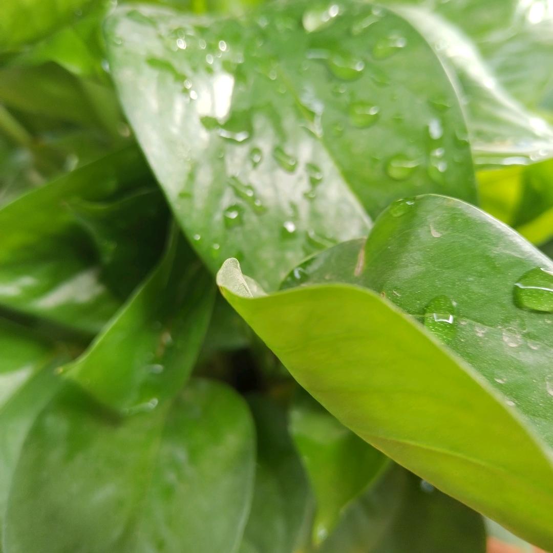 开心快乐每一天快乐哦