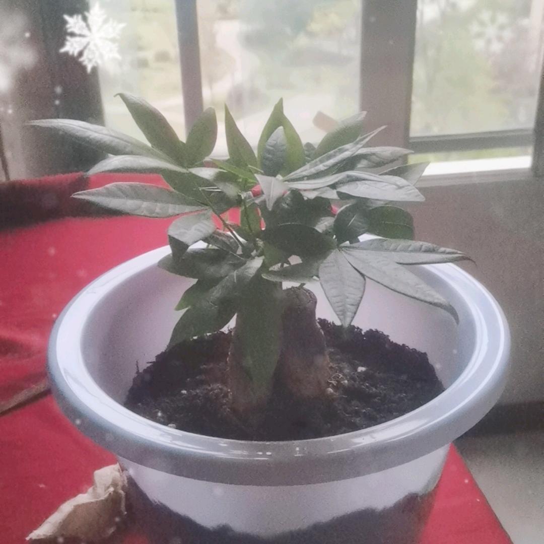 我是一个农民工