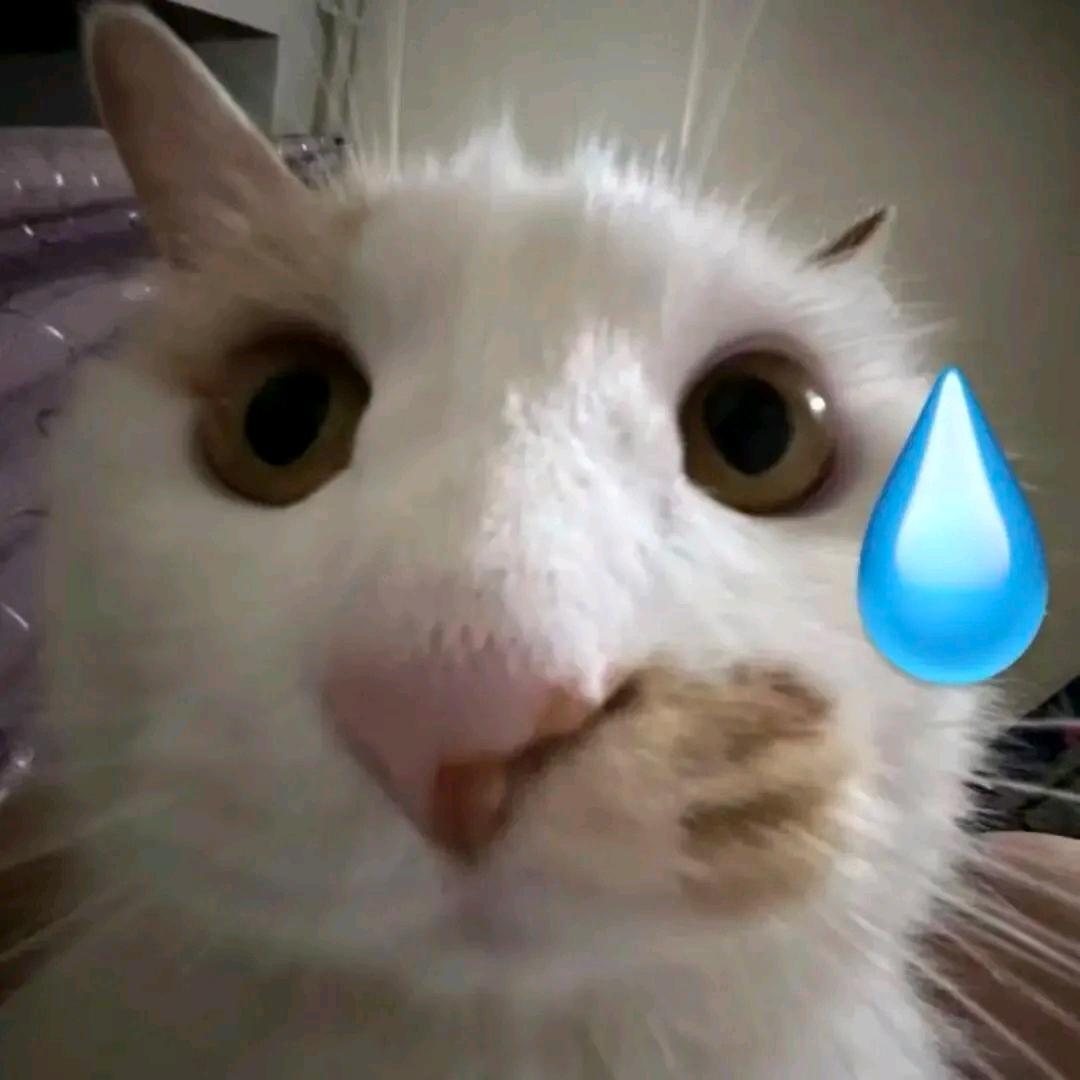 ЯX-6JglEogGY411T7Я