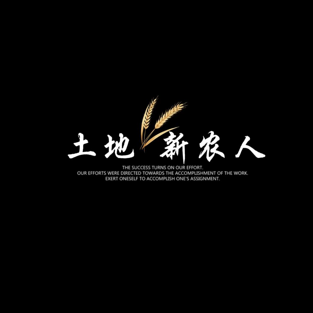 田园信息咨询