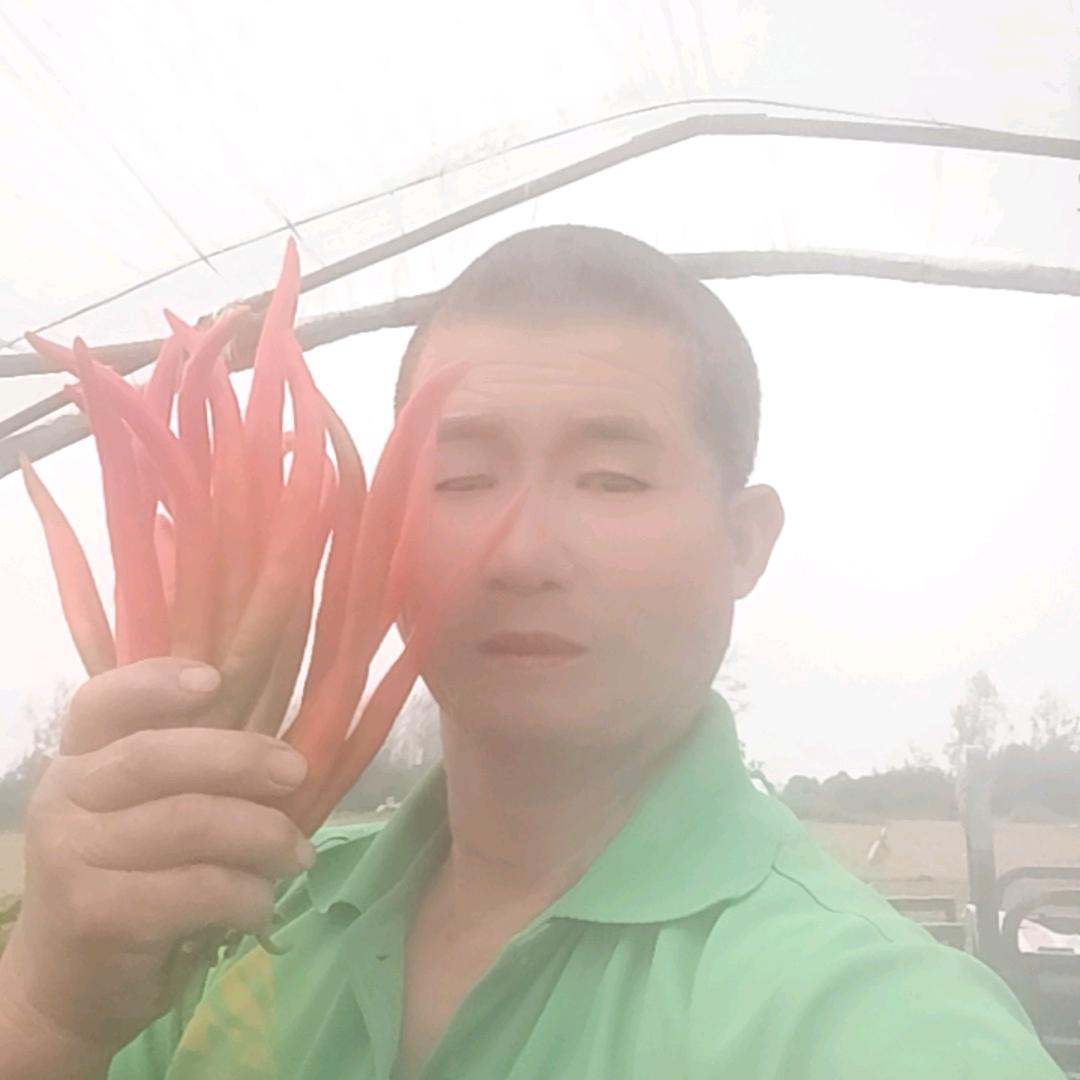 阜南会龙，卖菜杨哥