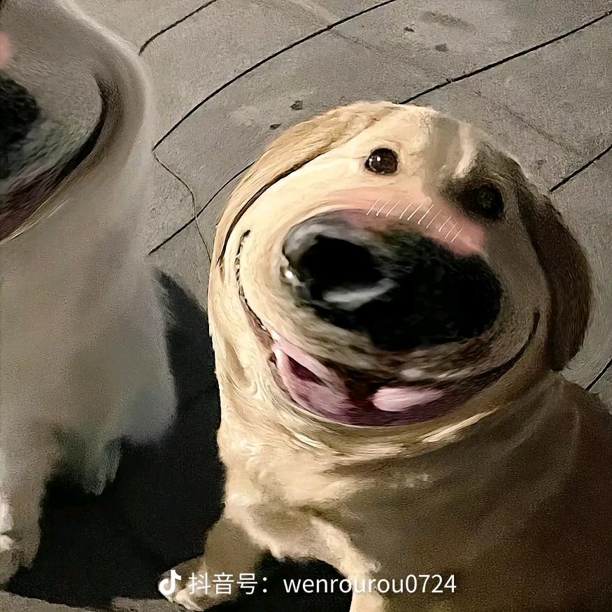 巧克力