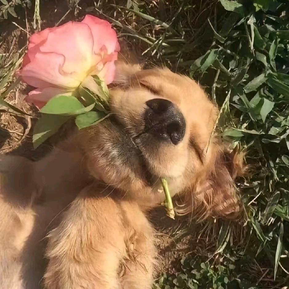 📷👆⫍ ⃢👁ܫ👁⃢ ⫎