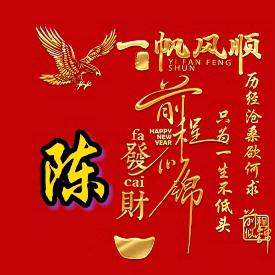 陈氏传统点穴调理