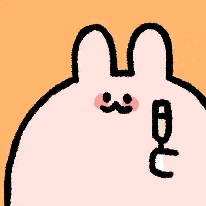 皮皮塔护理PPT