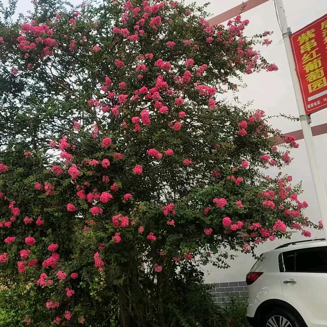 缘于心来