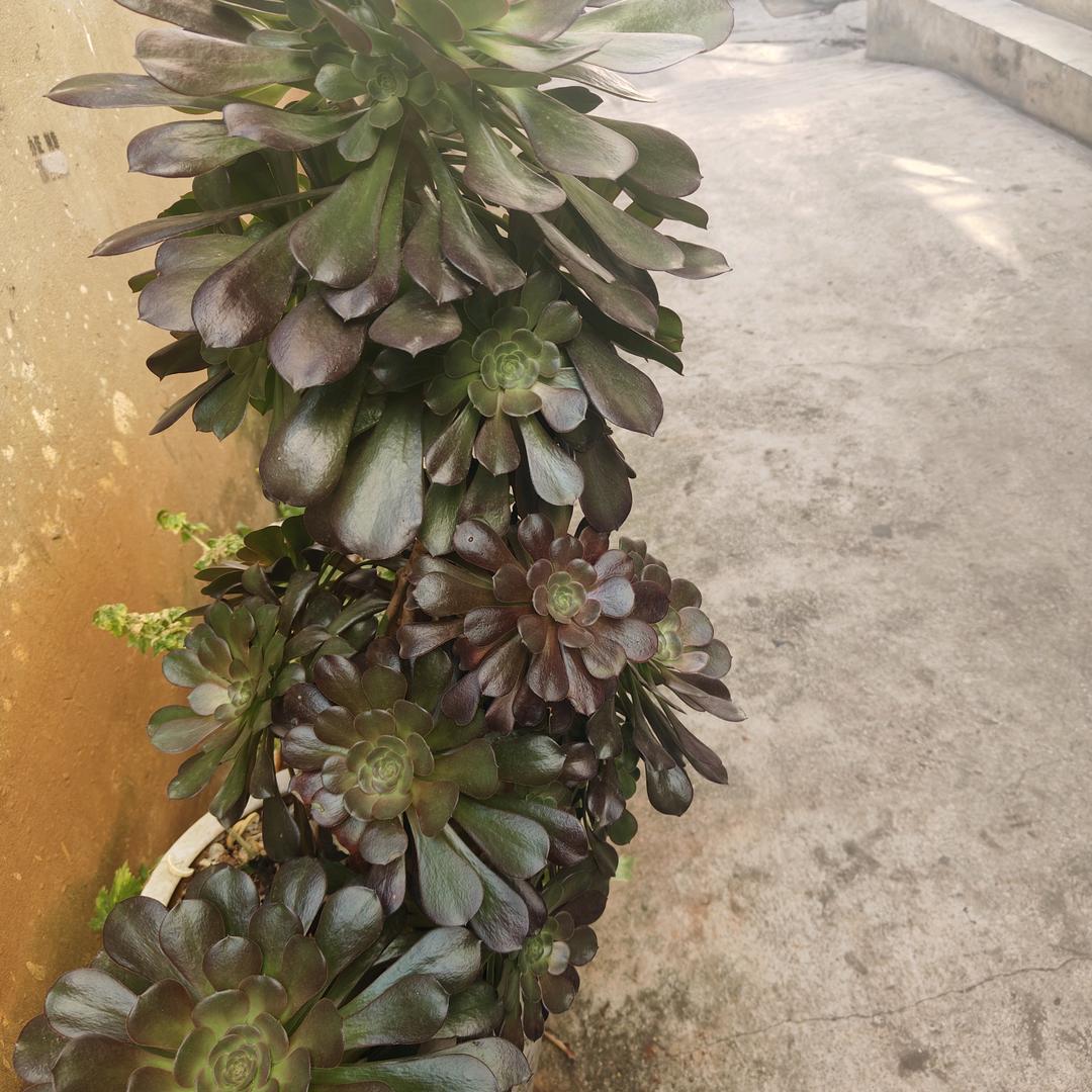有你我开心。