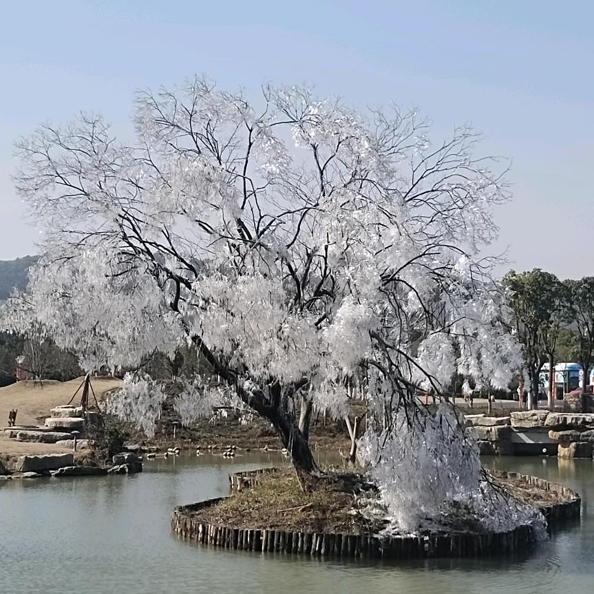 这个Diao名起的很水
