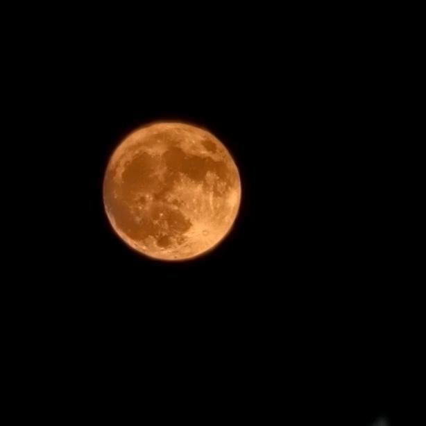 ও🕊ꦿꦼ为何张杨꧔ꦿ࿐้