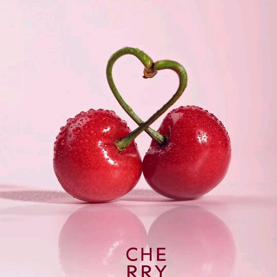 福袋是只喵(^･ｪ･^)