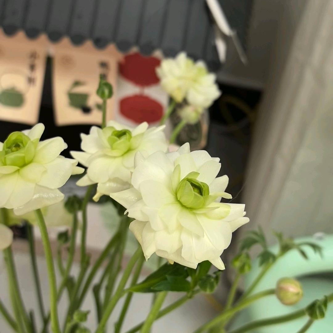 小祈