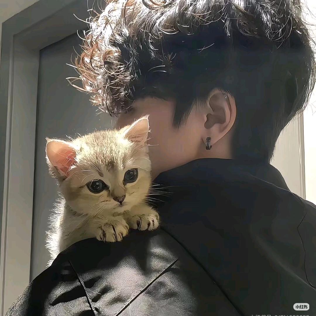 🐉🍷封💞心🏄锁🔒爱