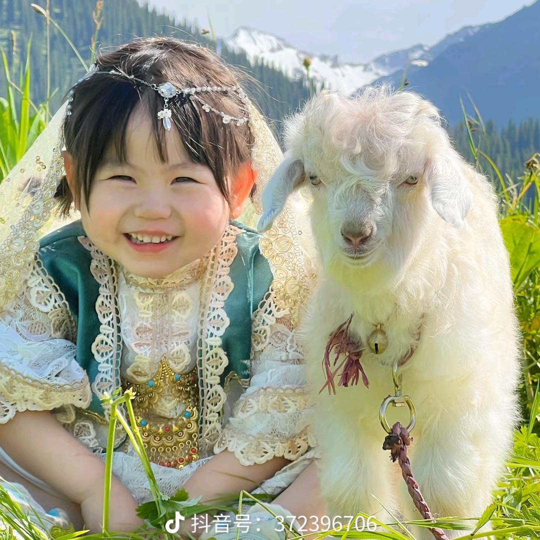 是噜不是鹿