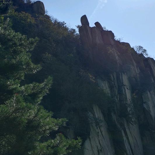 梨园那林