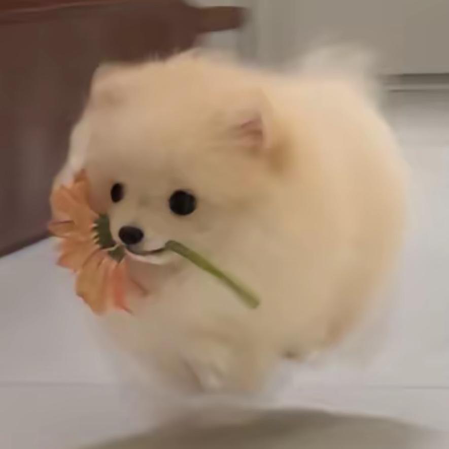 白开✨