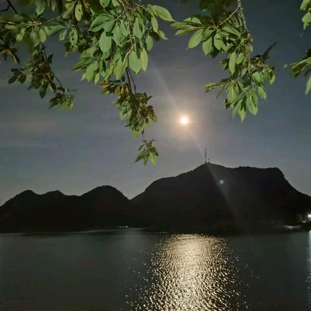 望湖楼山庄