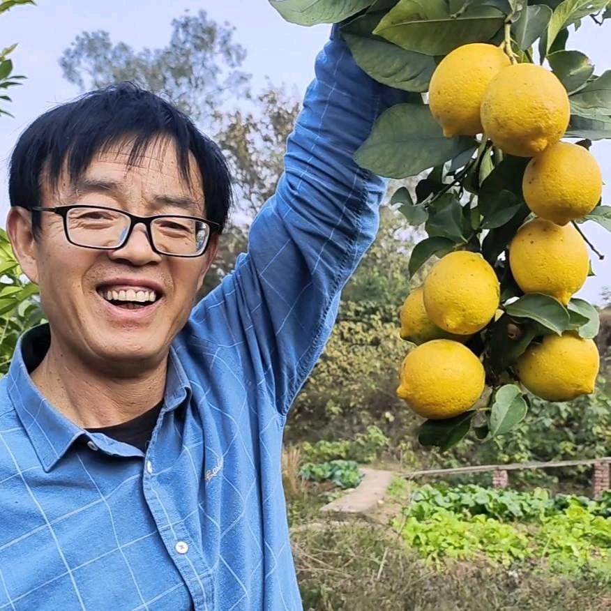 全域有机刘小平