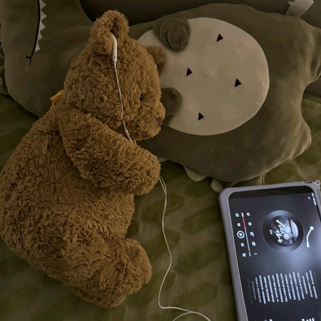 没事早点睡zzz