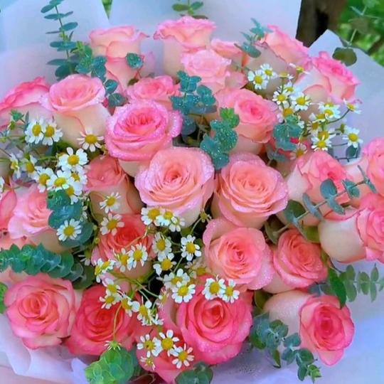 你若盛开，蝴蝶自来