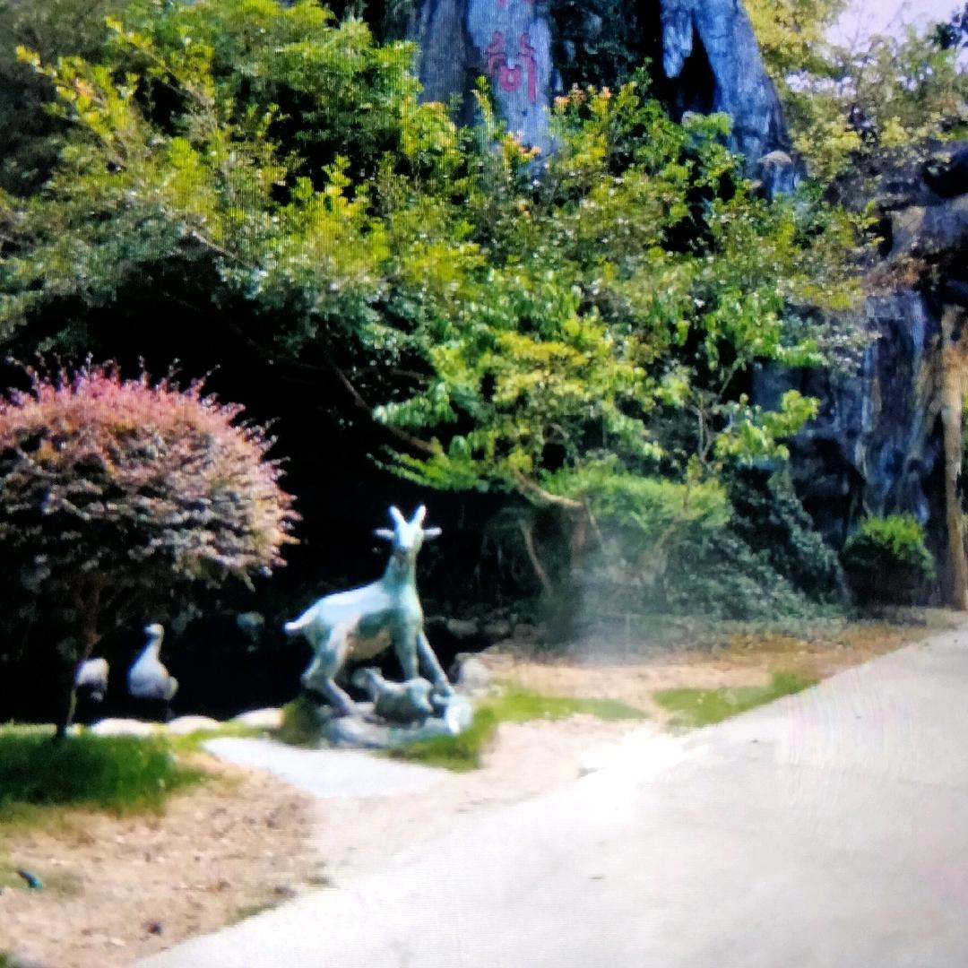 毛孩子