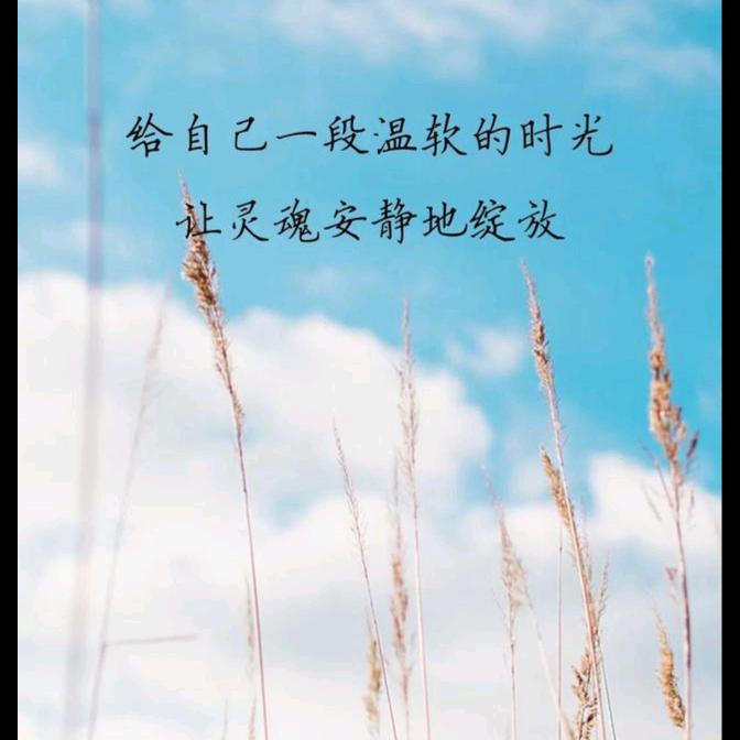 轩宇姐
