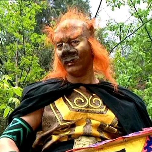 大王叫我来巡山