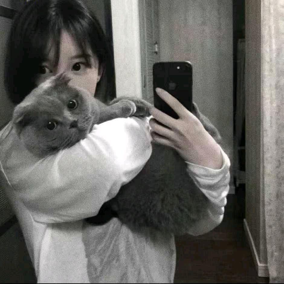 小龍 崽.