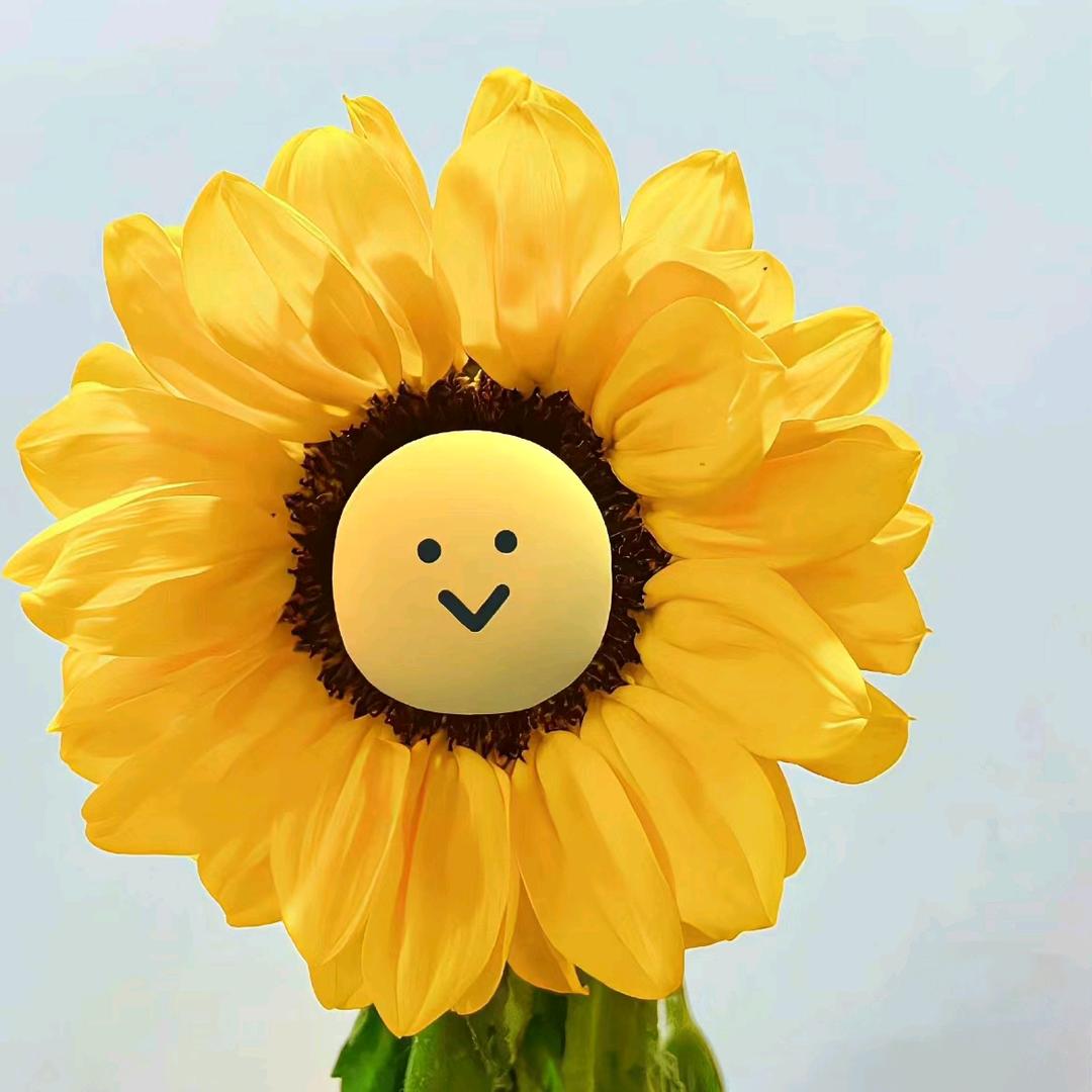 @是啊肆呀～🌻