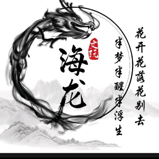 海龙精品桃核回血