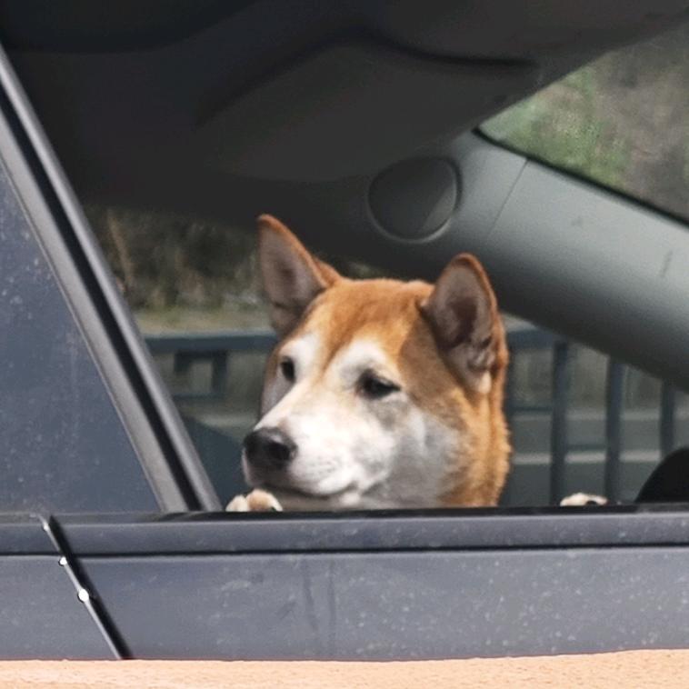 小彭维修水平仪