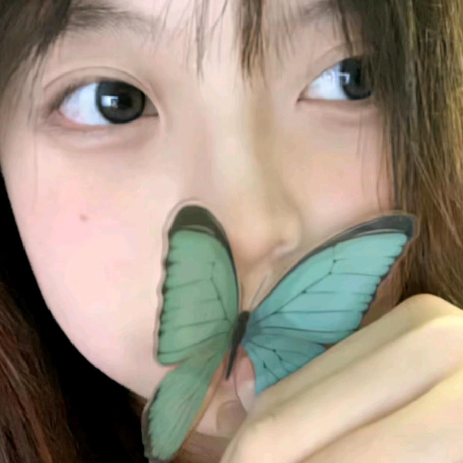 摆烂小猫