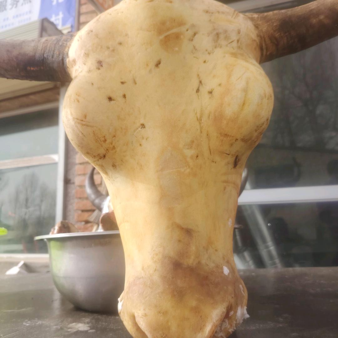 马玉珠