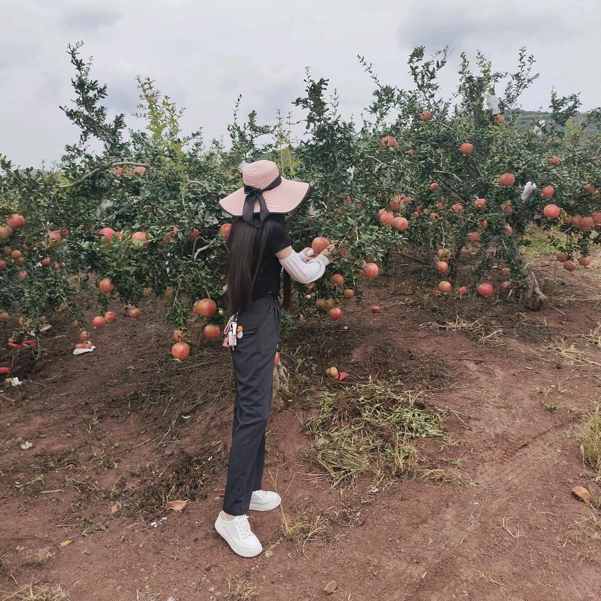 馨♥琳*^O^*思域