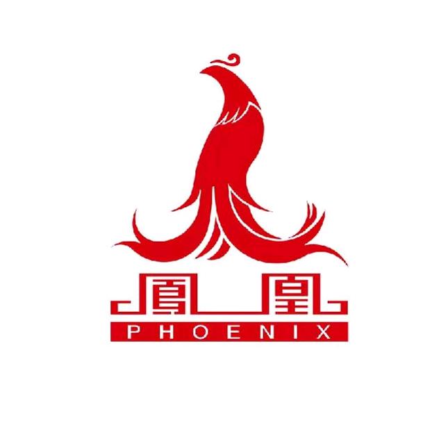 凤凰精品助力单车