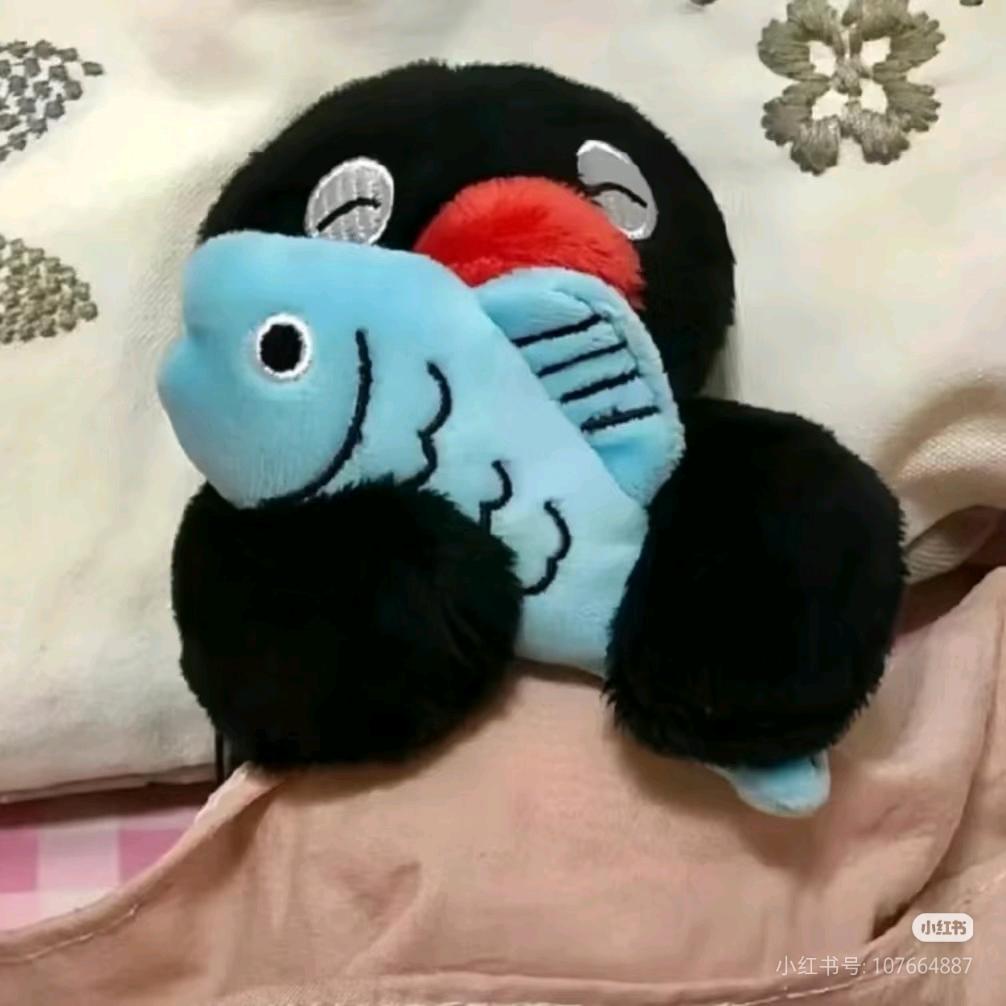 一只小鲤鱼叽