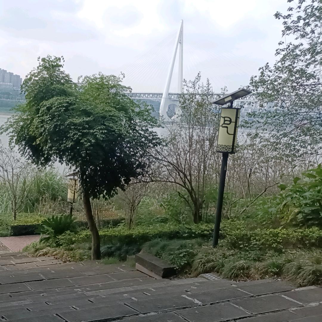 包你爽