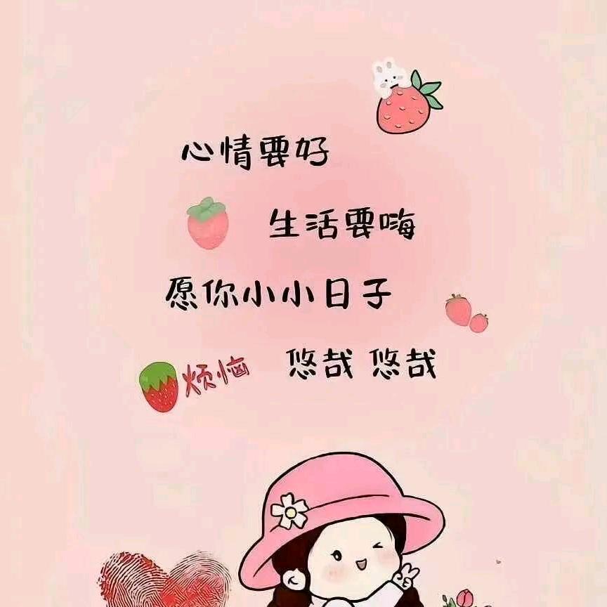 鸿宇