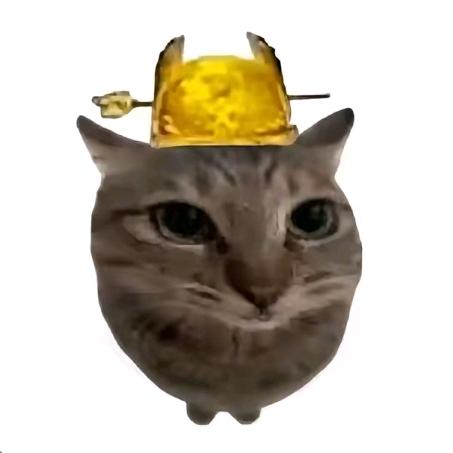 H.