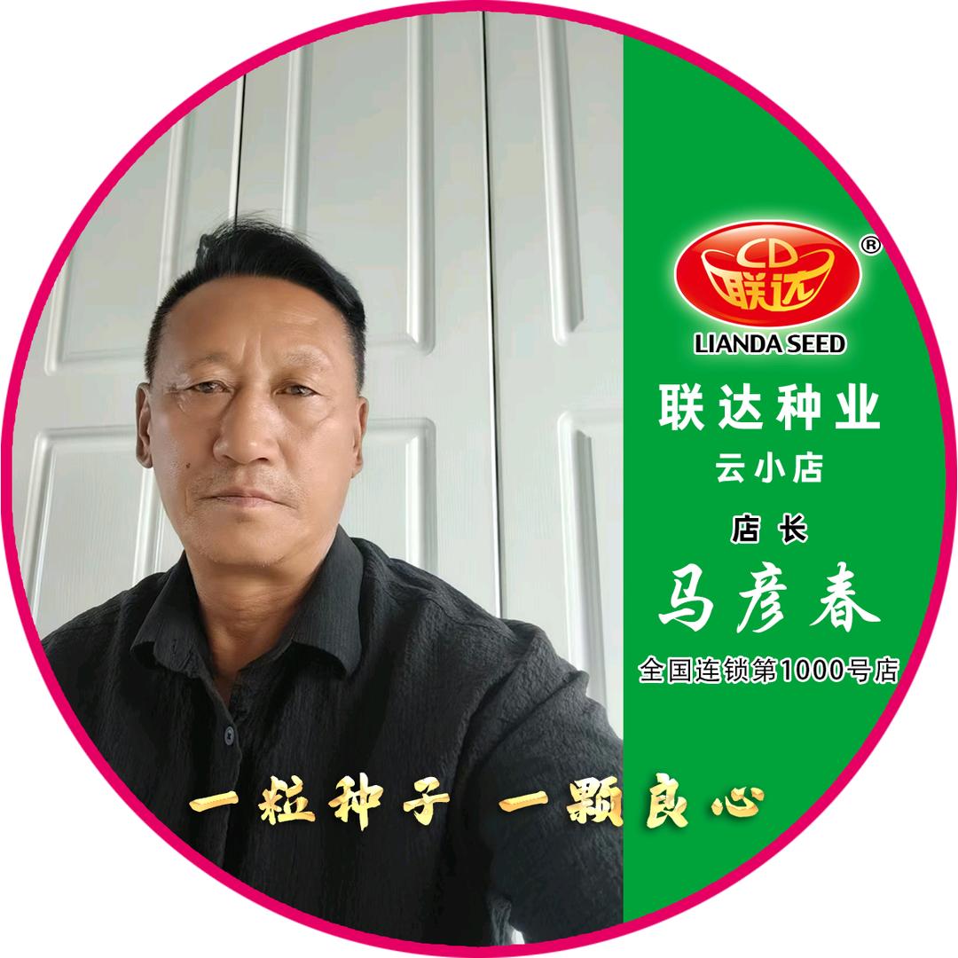 酷马爱旅行
