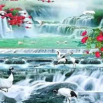 轩明苑