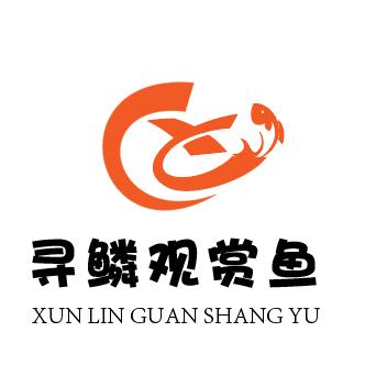 寻鳞（布里斯托）