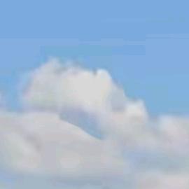 木叶