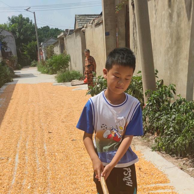 ༺࿈҉芝☬芬࿈༻