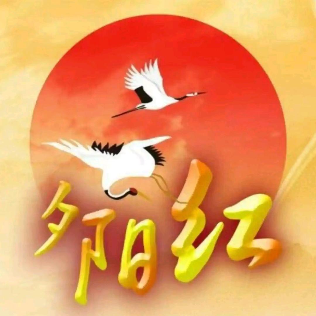 夕阳红