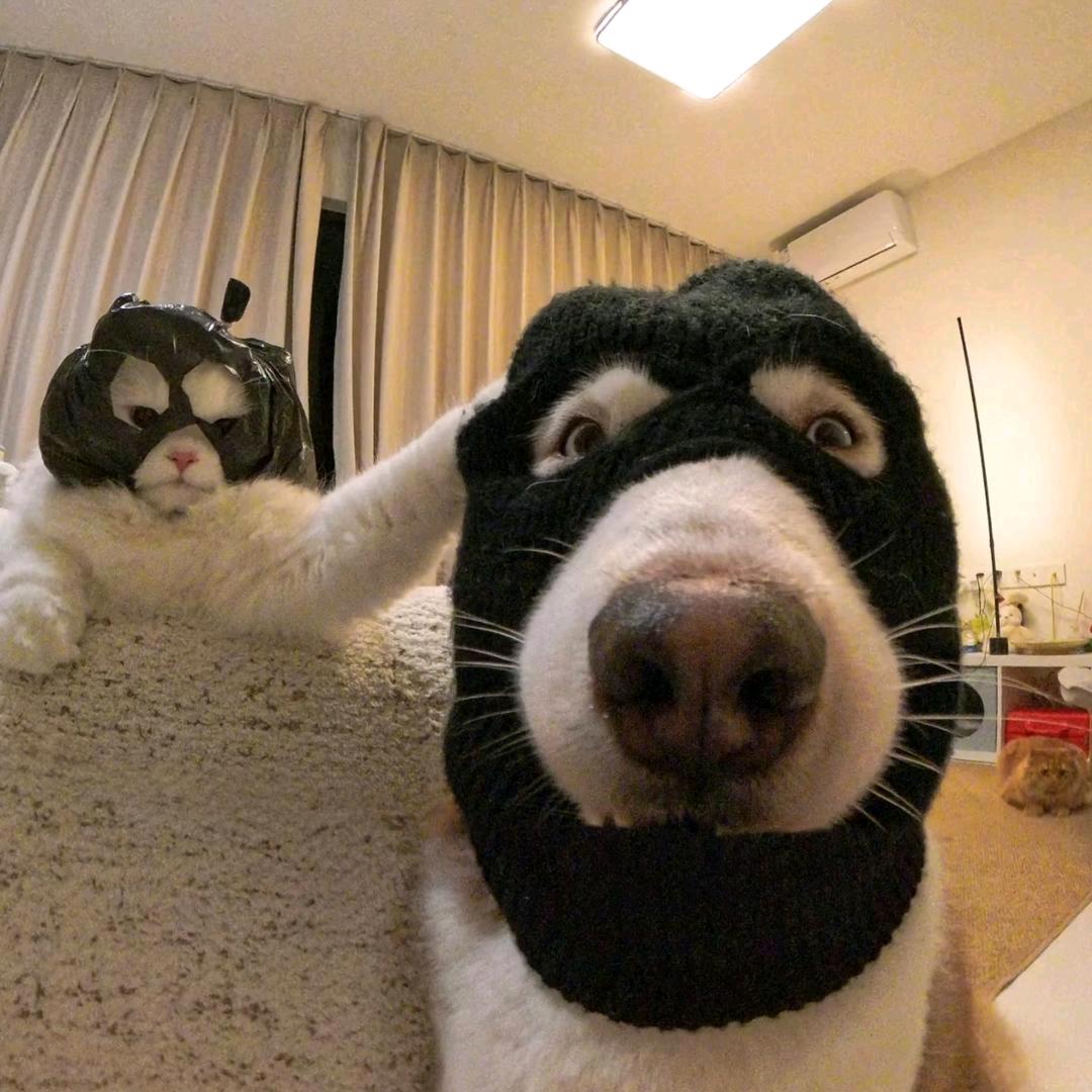 吴聊