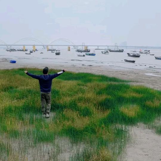 江畔风起