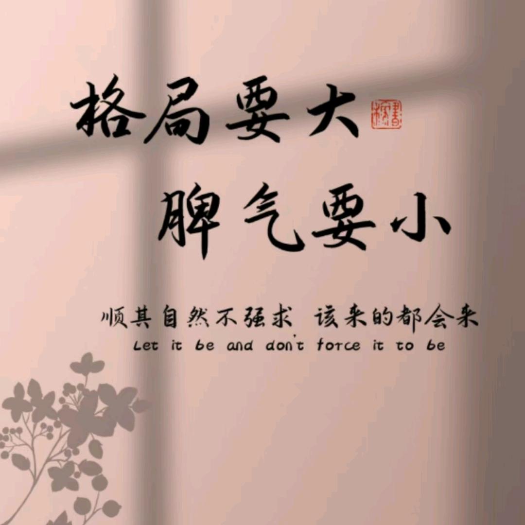 跑着滴滴看女团