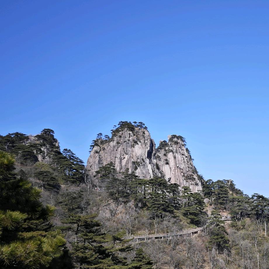 凋零中蕴含新生