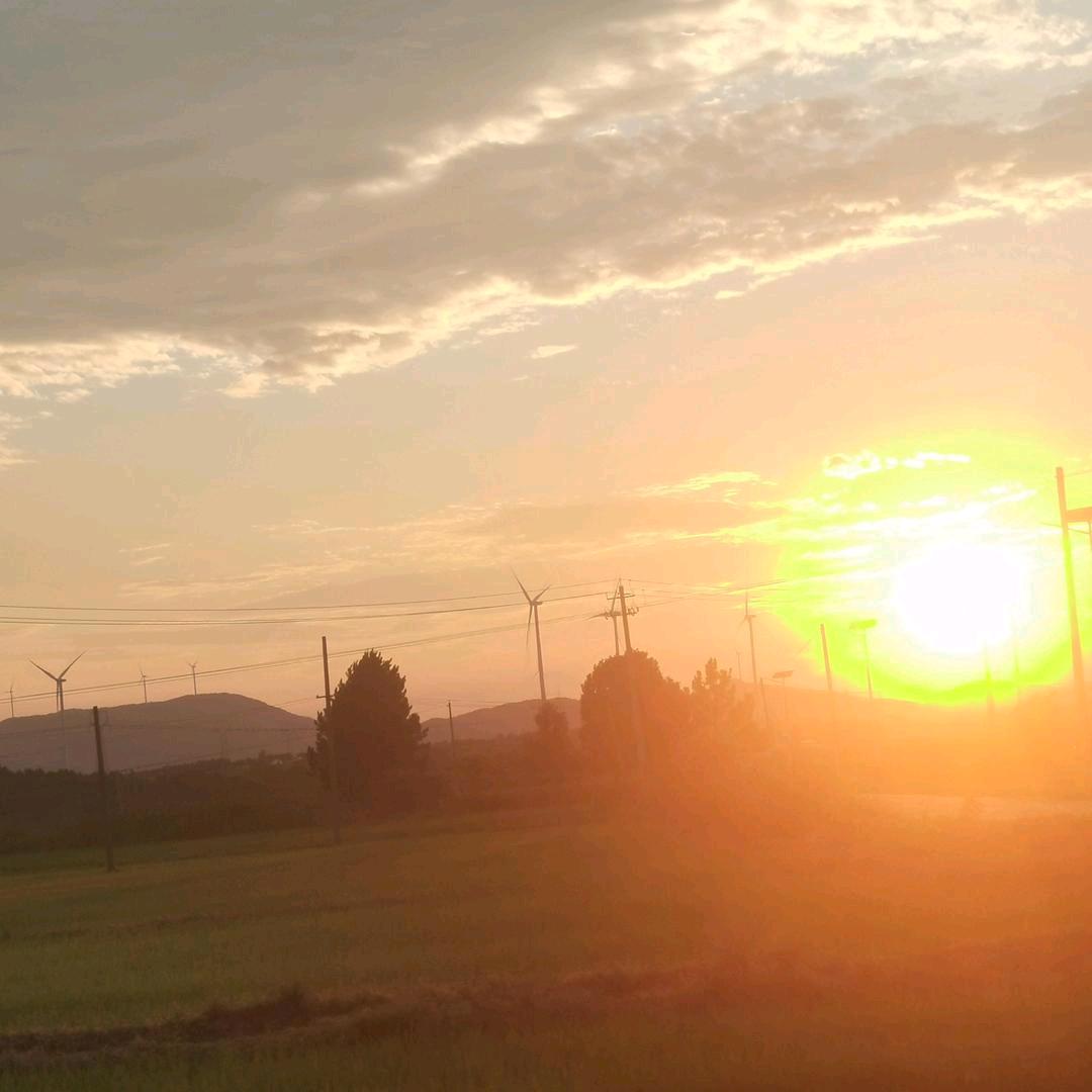 鸟语花香🌹🌹